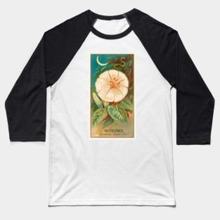 Moonflower (Ipomoea Bona Nox) Baseball T-Shirt